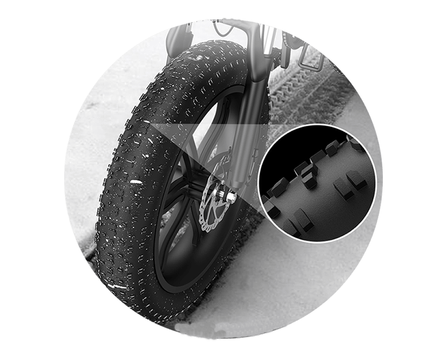 Fat Tire eBike
