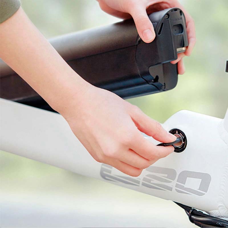 Removable battery Electric Bike