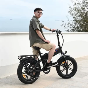 Engwe Engine X 250W CE Version UK road legal