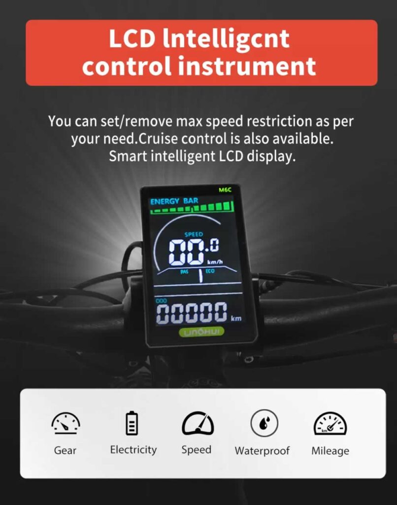 DAYLYRIDE Snow Leopard Pro 1000W Ebike LCD display