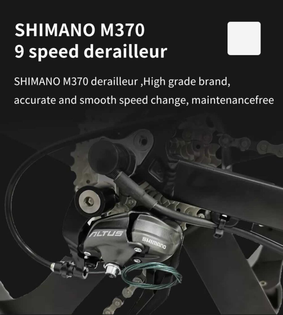 DAYLYRIDE Snow Leopard Pro 1000W Ebike Shimano Gear
