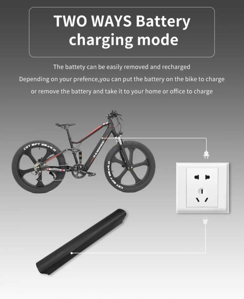 DAYLYRIDE Snow Leopard Pro 1000W Ebike
