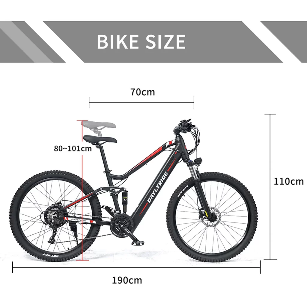 Electric bike 1000W Dailyride ebike
