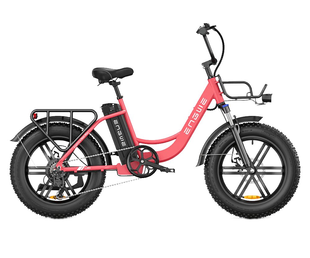 Fat tire best sale electric cargo bike