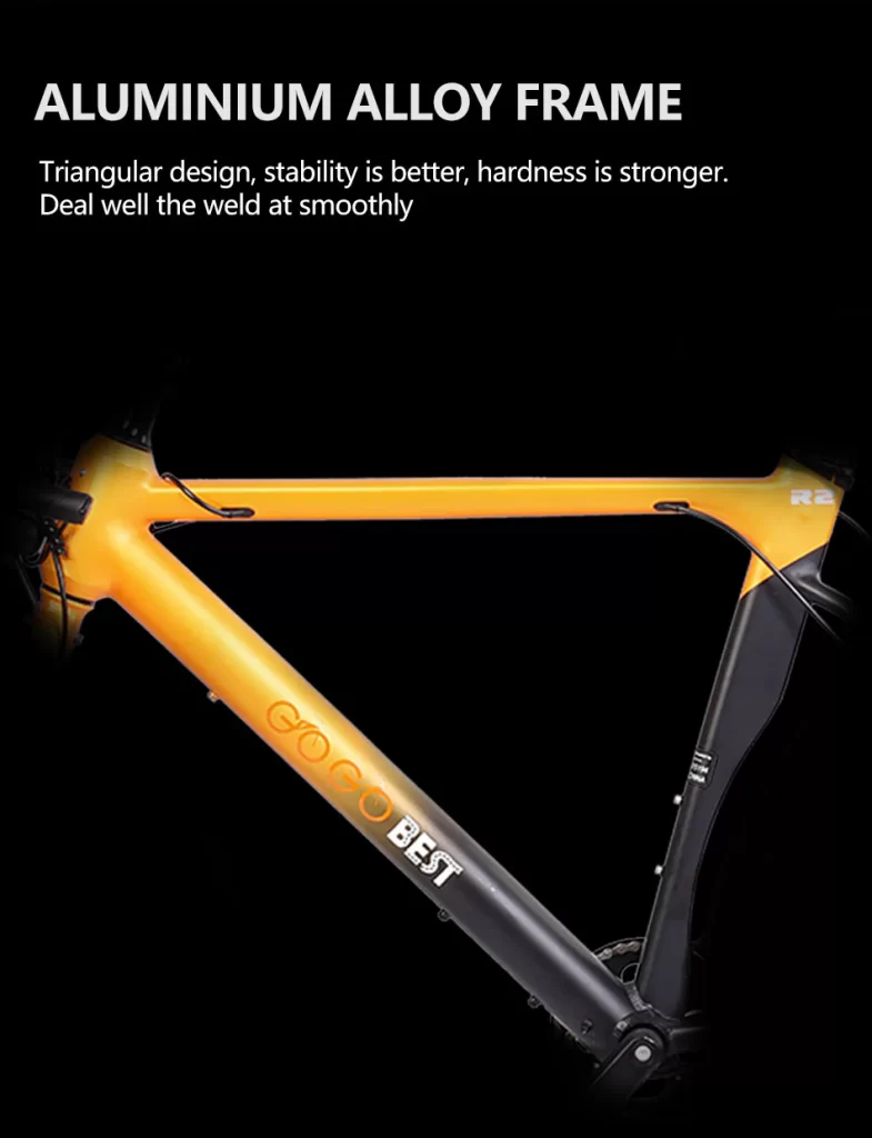 GOGOBEST R2 Electric Road Bike