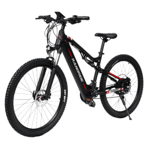 RANDRIDE YG90 Full Suspension E-bike 1000W