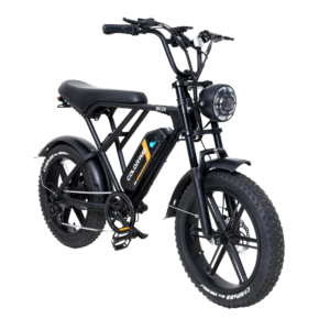 Colorway BK29 Electric Bike 250w 48v 15Ah